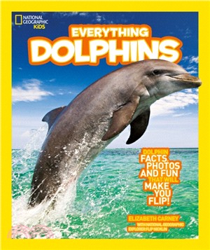 Everything dolphins /