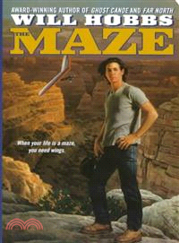 The maze /
