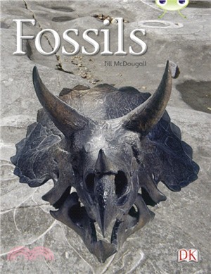 Fossils /