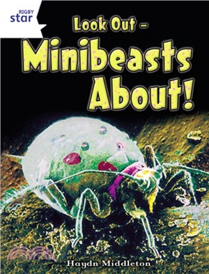 Look out - minibeasts about! /