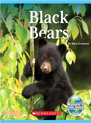 Black Bears
