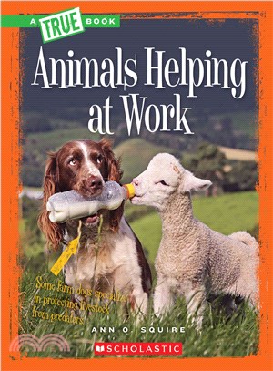 Animals helping at work /