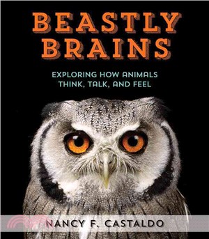 Beastly brains : exploring how animals talk, think, and feel /