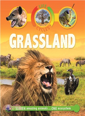 Grassland /