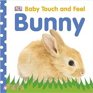 Baby Touch and Feel Bunny