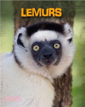 Lemurs /