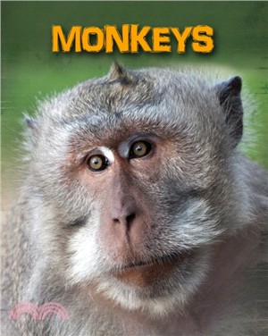 Monkeys /