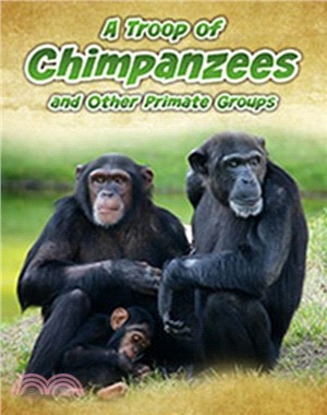 A troop of chimpanzees and other primate groups /