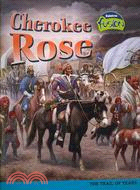 Cherokee Rose