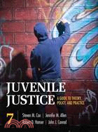 Juvenile Justice: A Guide to Theory, Policy, and Practice