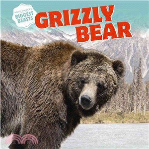 Grizzly Bear