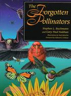 The forgotten pollinators /