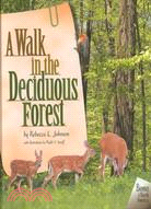 A walk in the deciduous forest /