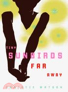 Tiny sunbirds, far away : a novel /