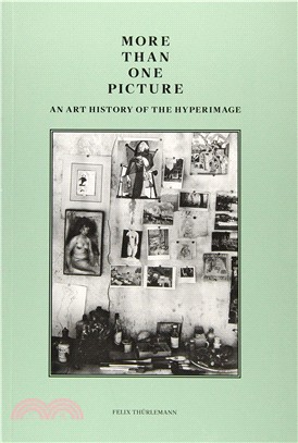 More Than One Picture ― An Art History of the Hyperimage