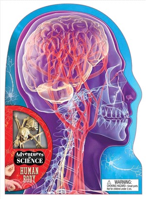 The Human Body