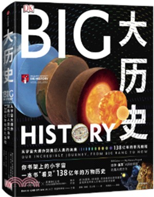 大歷史:從宇宙大爆炸到我們人類的未來,138億年的非凡旅程(簡體書)