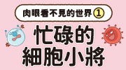 肉眼看不見的世界1