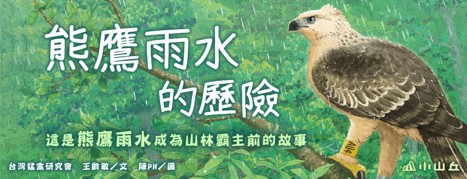 熊鷹雨水的歷險