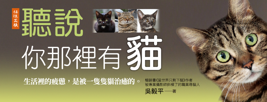聽說你那裡有貓