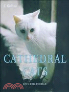 Cathedral Cats