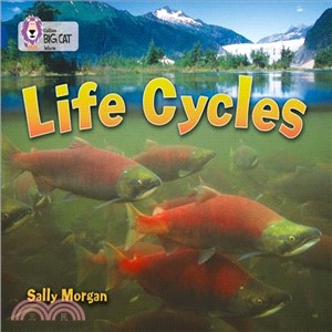 Life Cycles (Jan 11) (Key Stage 2/Sapphire - Band 16/Non-Fiction)