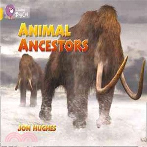 Big Cat Animal Ancestors W Pb (Key Stage 1/Gold - Band 9/Workbooks)
