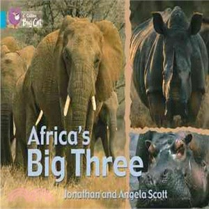 Big Cat Africas Big Three Pb (Key Stage 1/Turquoise - Band 7/Workbooks)