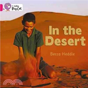 Big Cat In The Desert Work Pb (Key Stage 1/Pink - Band 1B/Workbooks)