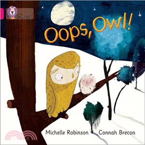 Oops, Owl (Key Stage 1/Pink - Band 1A/Fiction)
