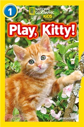 Play, Kitty!：Level 1