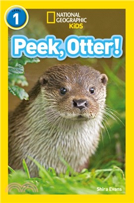 Peek, Otter!：Level 1
