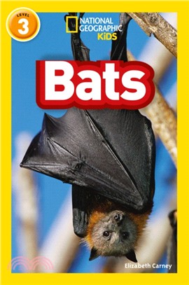 Bats：Level 3