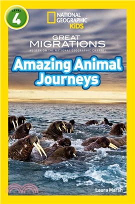 Amazing Animal Journeys：Level 4