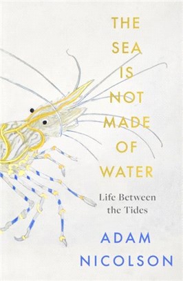 the sea is not made of water：Life Between the Tides