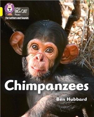 Chimpanzees：Band 3/Yellow