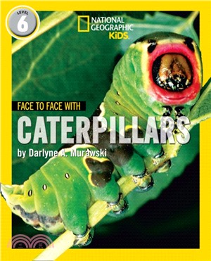 Face to Face with Caterpillars：Level 6