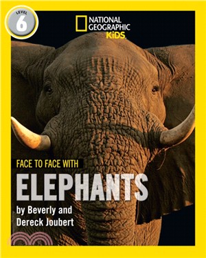 Face to Face with Elephants：Level 6