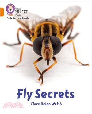 Fly Secrets：Band 06/Orange