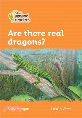 Level 4 - Are there real dragons?