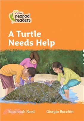 Level 4 - A Turtle Needs Help