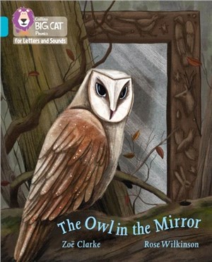 The Owl in the Mirror：Band 07/Turquoise