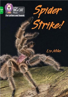 Spider Strike!：Band 05/Green