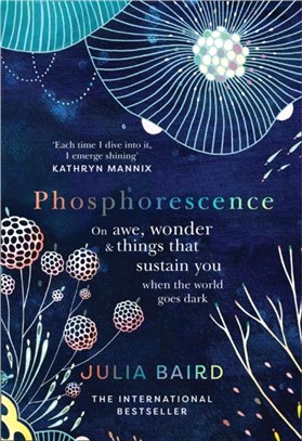 Phosphorescence：On Awe, Wonder and Things That Sustain You When the World Goes Dark