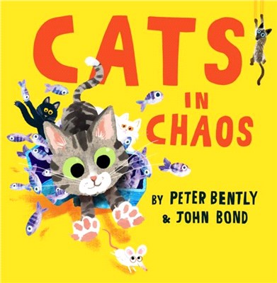 Cats in chaos /
