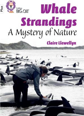 Whale Strandings: A Mystery of Nature：Band 10+/White Plus