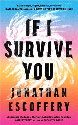 If I Survive You (National Book Awards Longlist)