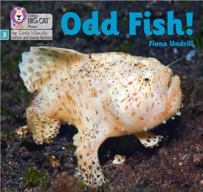 Odd Fish!