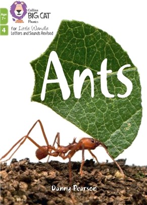 Ants：Phase 4 Set 2