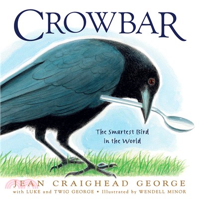 Crowbar：The Smartest Bird in the World
